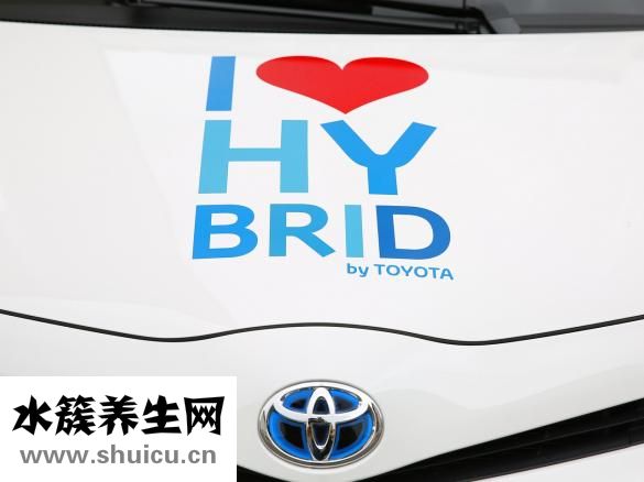 促胃动力药