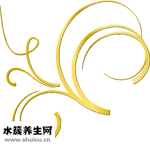 孕妇能吃海带