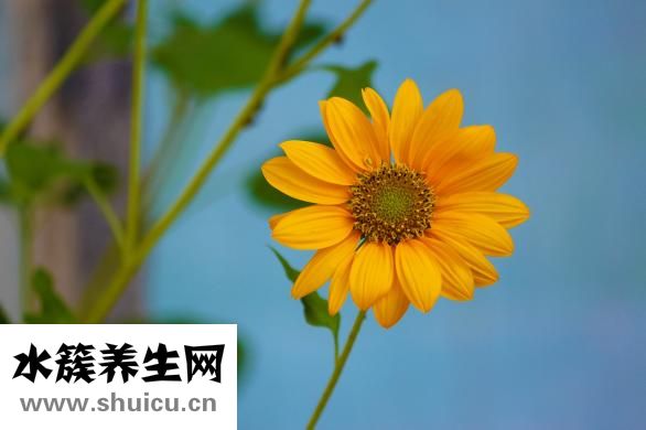 咽喉肿瘤怎么治疗