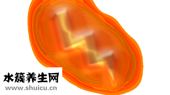 微创流产的医院