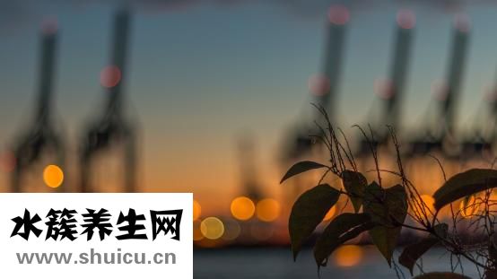 拔罐能洗澡吗