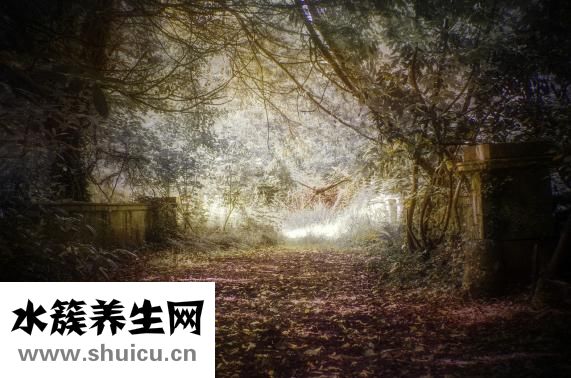 小针刀的作用与功效