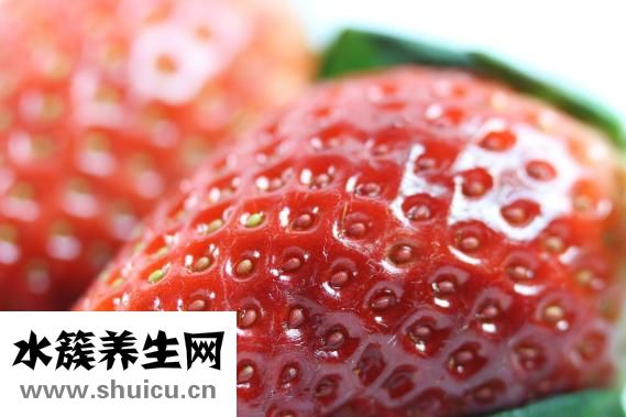 无花果多少钱一斤