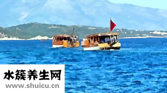 手出汗的原因