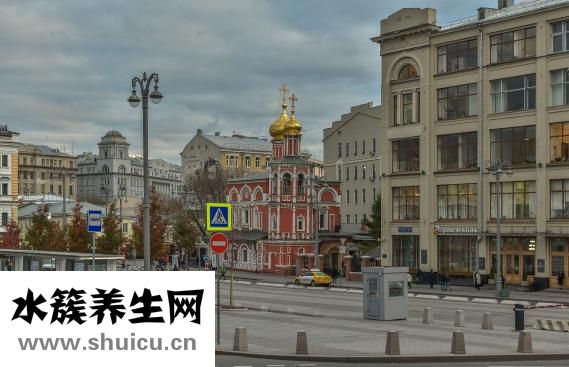 使君子图片