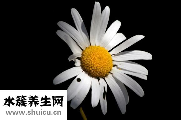 血糖高有什么危险