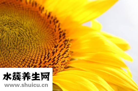 小瓜的功效与作用