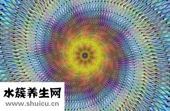 孕妇补血吃什么好