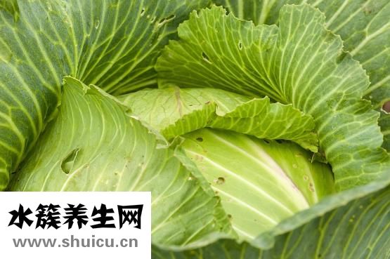 我的瘦身食谱