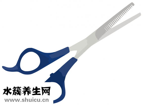我的瘦身食谱