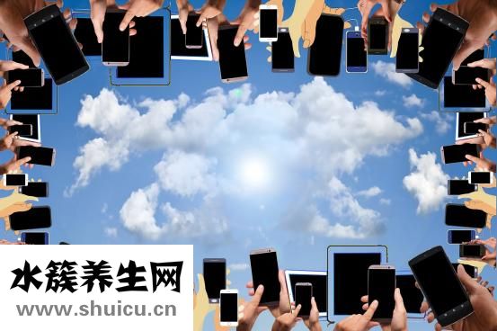 十大保护声带食物