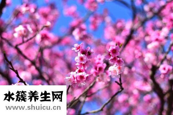 拖延症测试