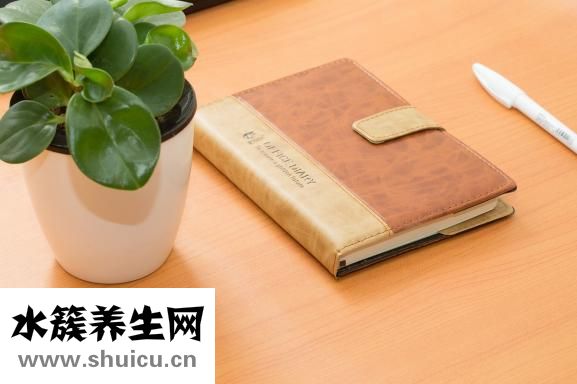 乌灵胶囊成分