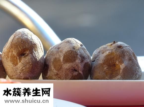 土豆是蔬菜吗