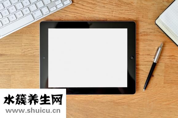松露价格多少钱一斤