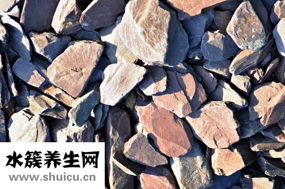 田七怎么吃