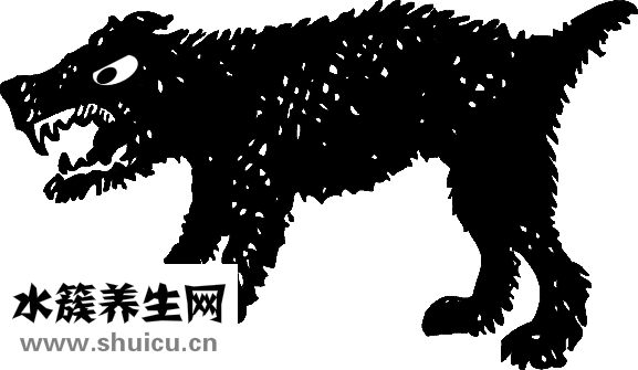 牙齿矫正年龄