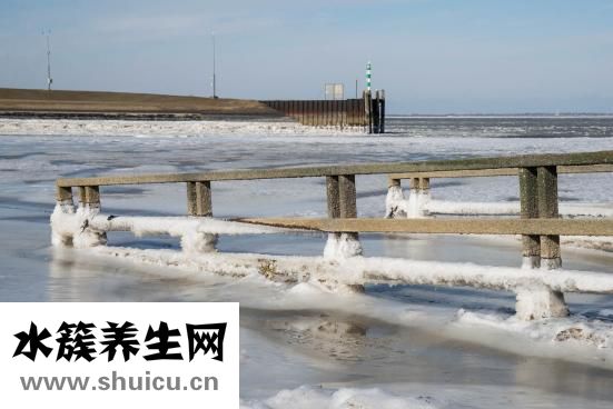 痧是什么意思