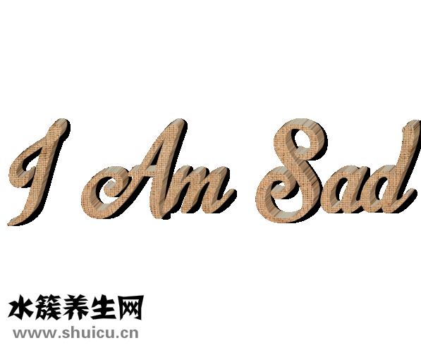 鱿鱼铁板烧