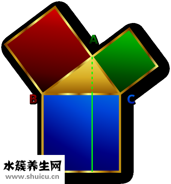 耳朵的结构图