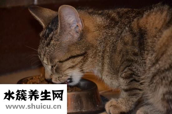 豌豆的营养价值
