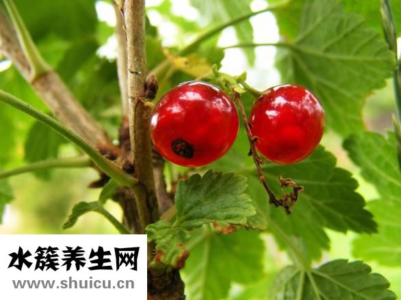 手脚麻木是怎么回事