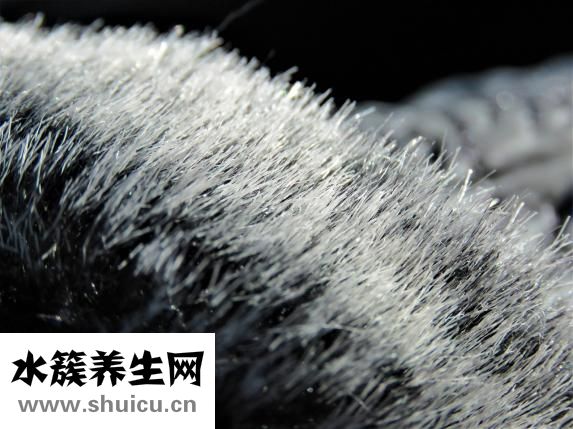 吃韭菜可以壮阳吗