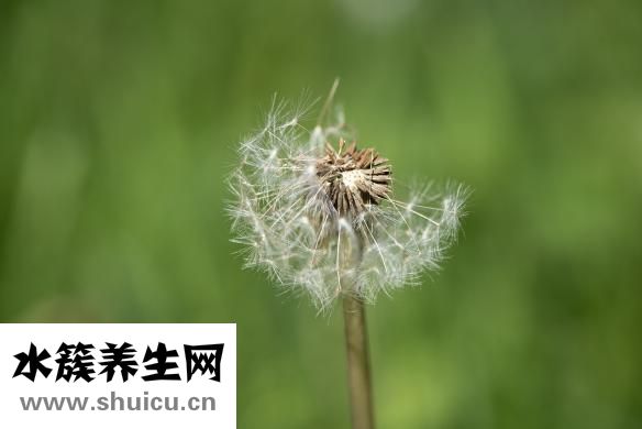 美容法去胎记
