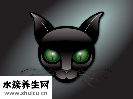 眼睛结膜炎