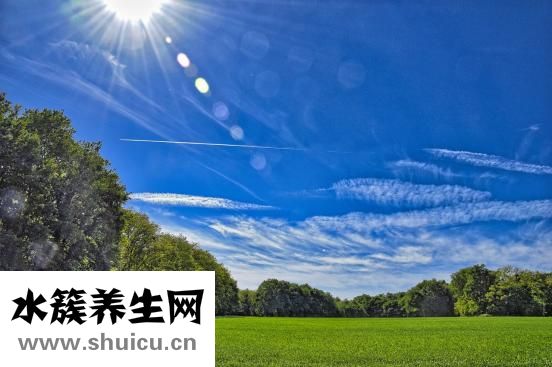 护理记录怎么写