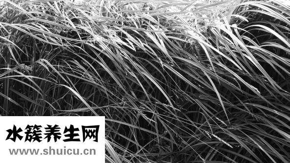 牙齿痛是什么原因