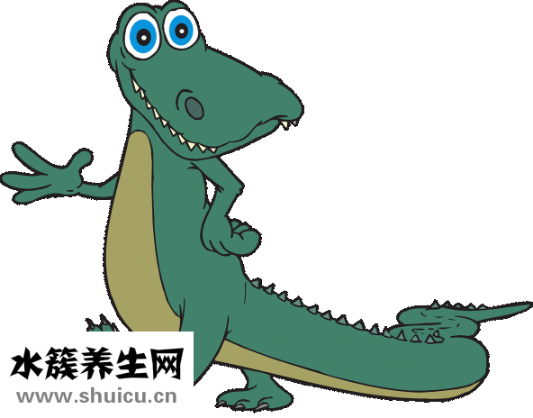鼻甲肥大必须手术吗