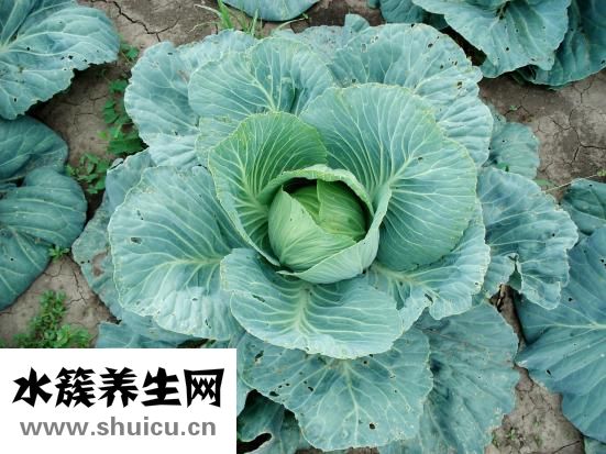 油泼面的正宗做法