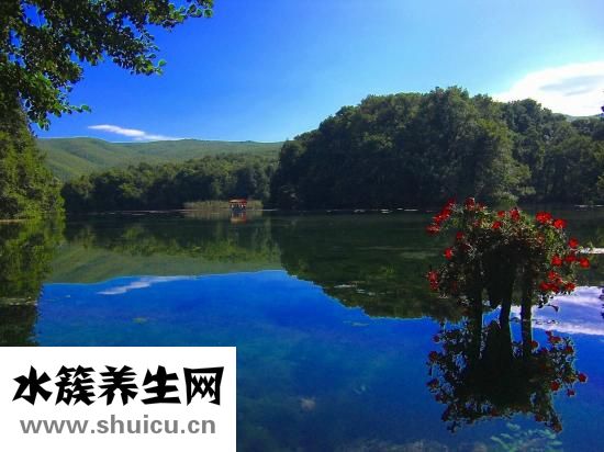 胸胀痛是怀孕了吗