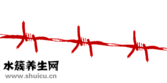 色素性紫癜性皮肤病