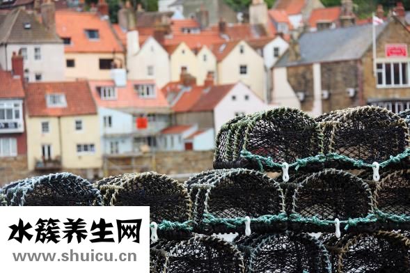 孕妇能吃芦笋吗