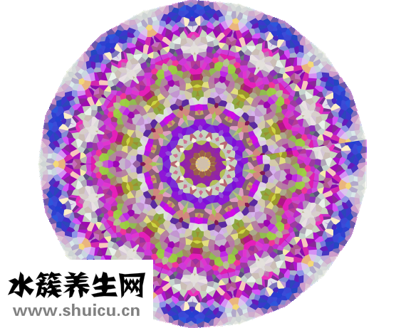 阴虱怎么解决