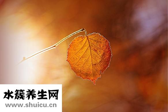 消化道大出血