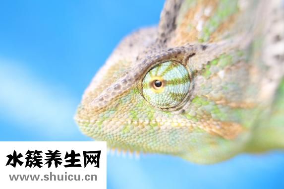 眼睛突然充血