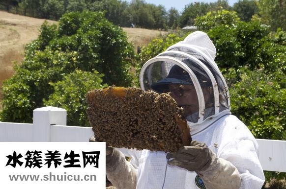 怎么治皮肤