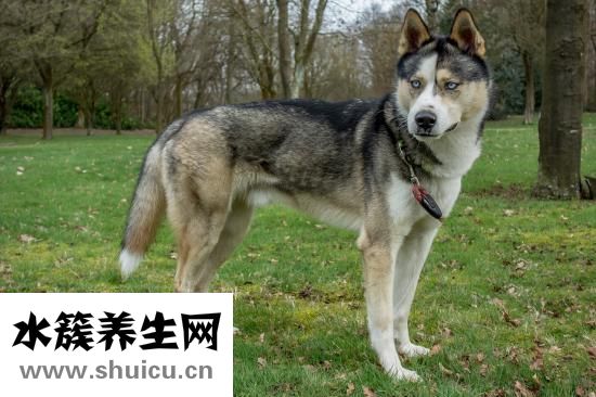 婴儿正常大便图片