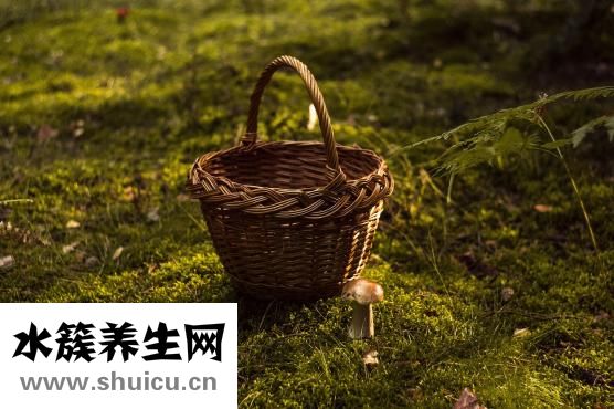生山药可以吃吗