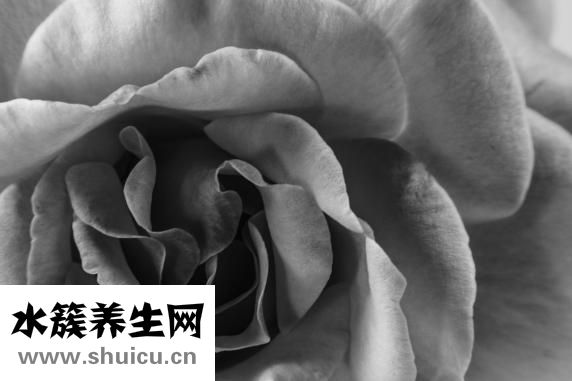 消化系统疾病