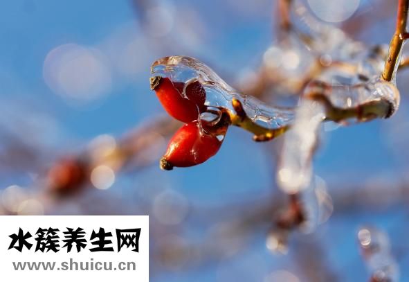 血糖高能吃山楂吗