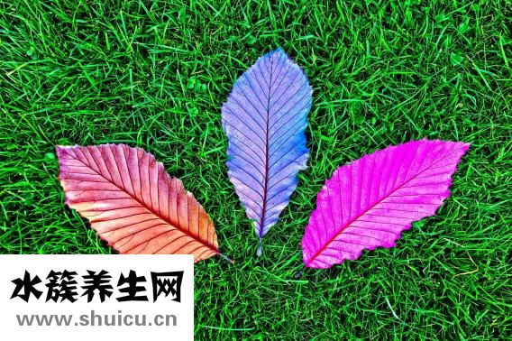 消化道大出血