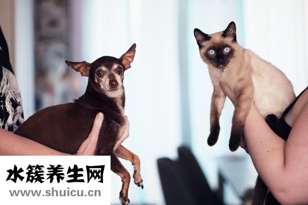 睡眠障碍的治疗