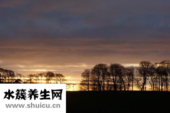 输血前八项指什么