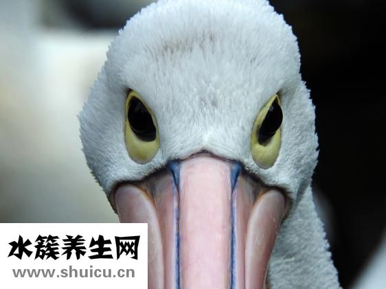 眼保健操几分钟