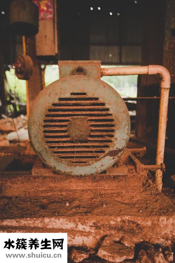 椰子水能净化羊水吗