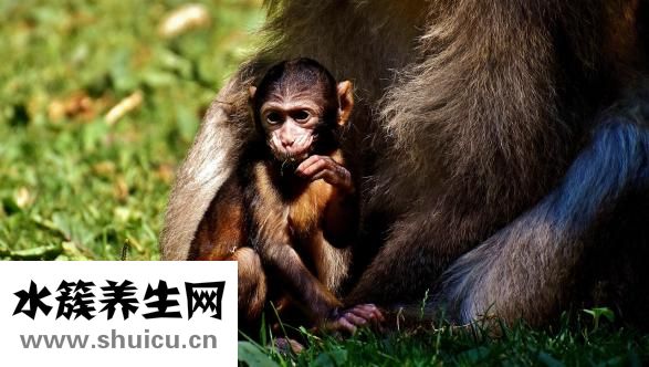 胎动在左边